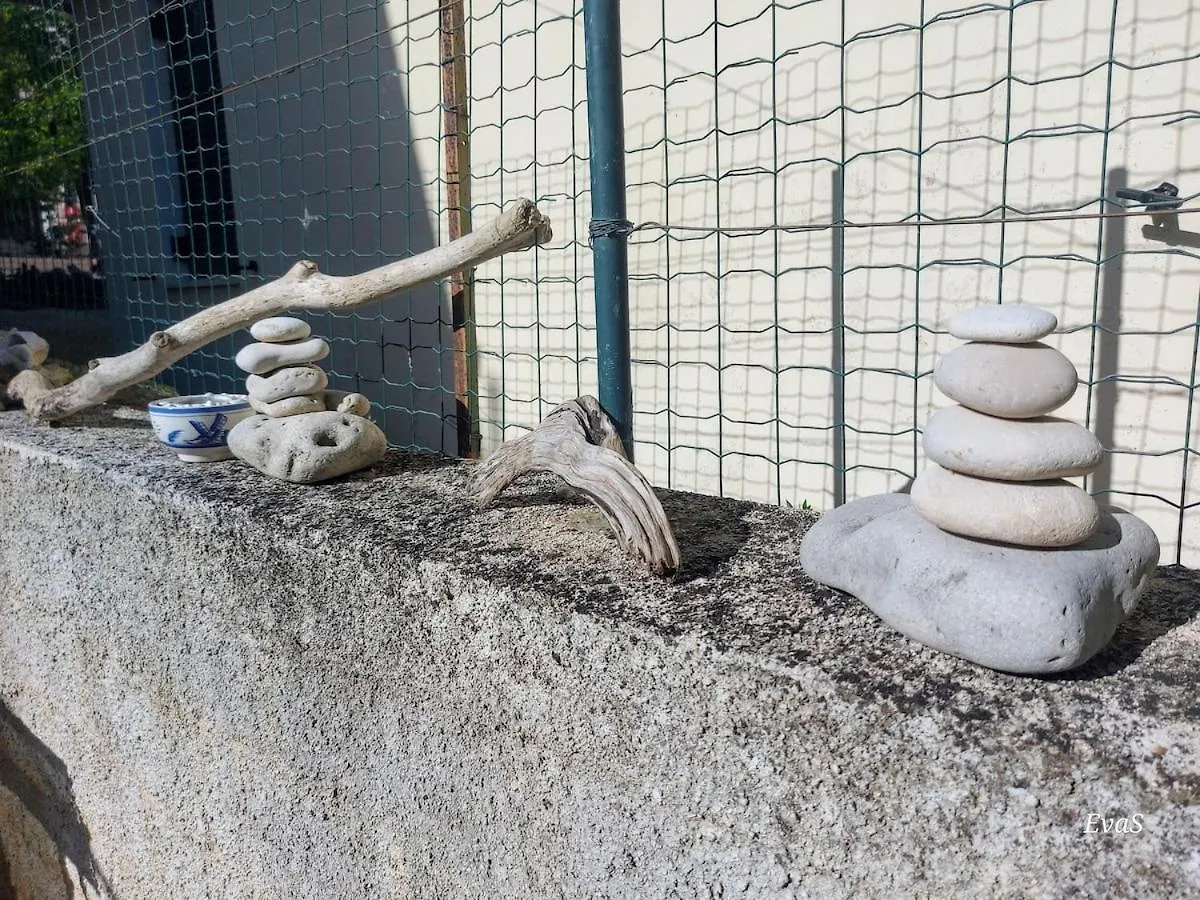 Octopus Garden, Koralli Studio Travliata