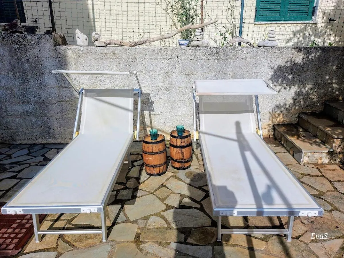 Octopus Garden, Koralli Studio Travliata