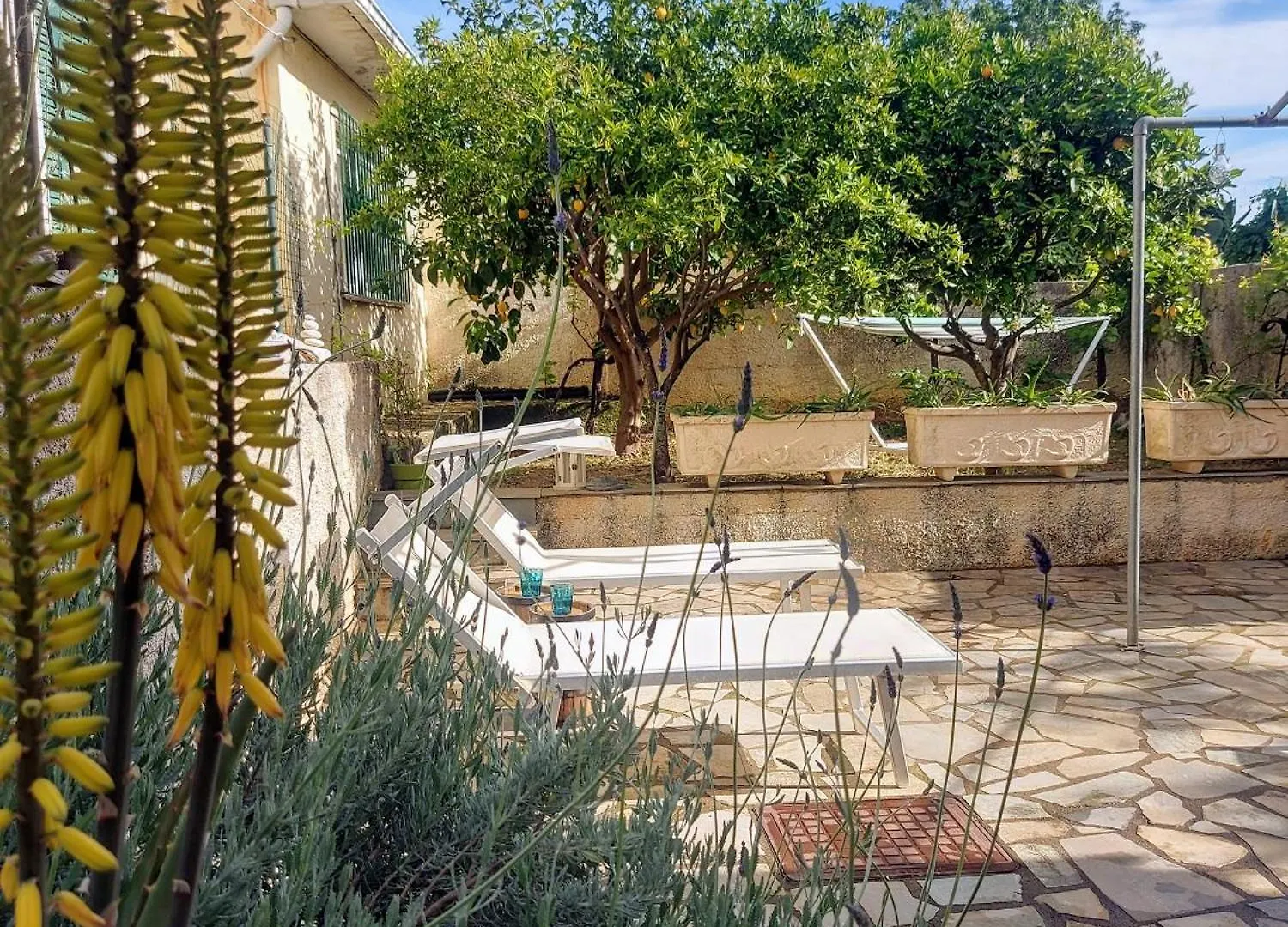 Octopus Garden, Koralli Studio Travliata ギリシャ